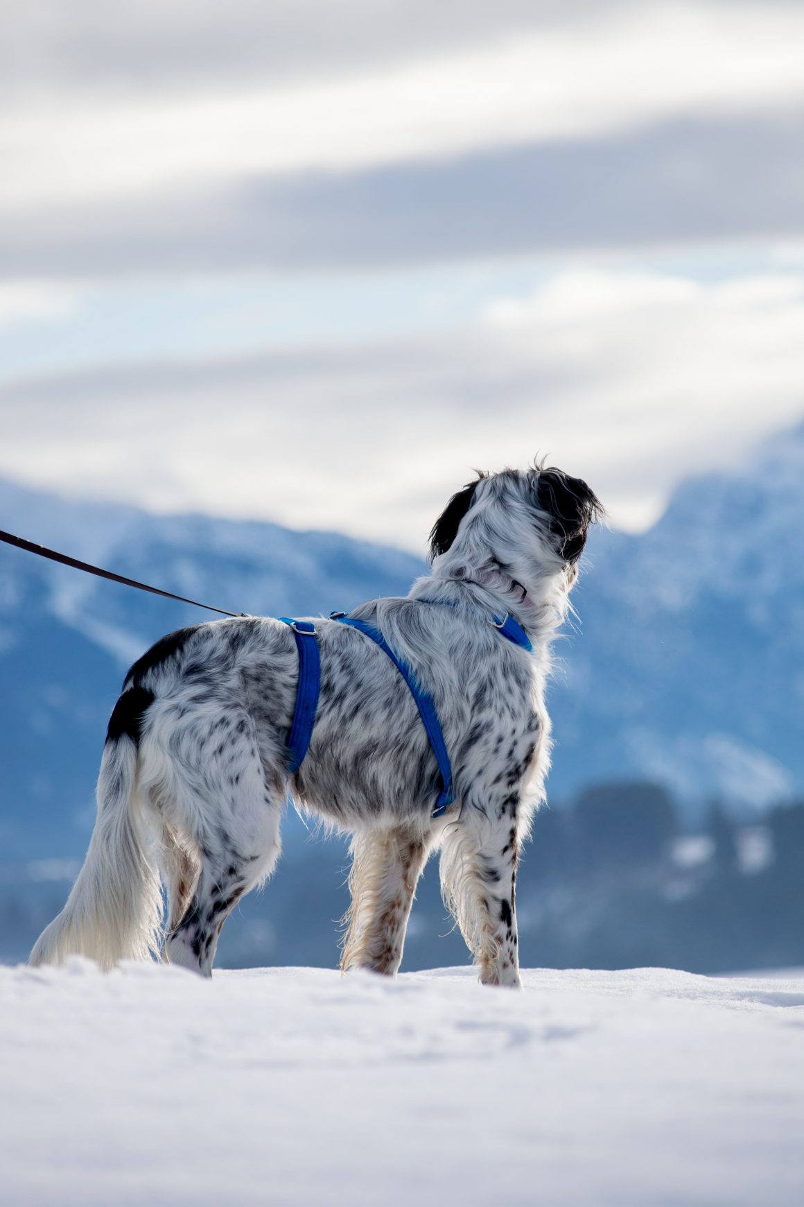 IMG-20251130-WA0001 Harry