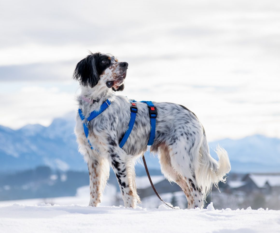 IMG-20251130-WA0005 Harry