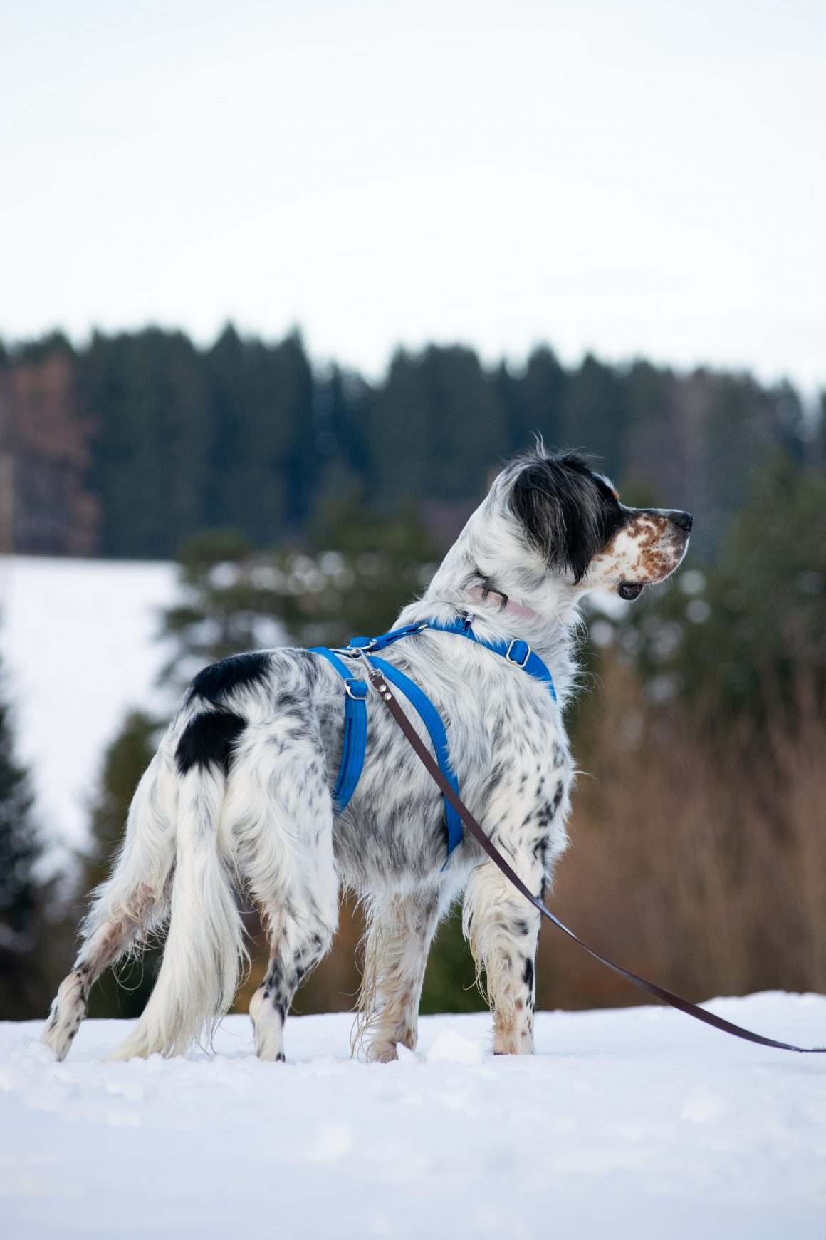 IMG-20251130-WA0010 Harry