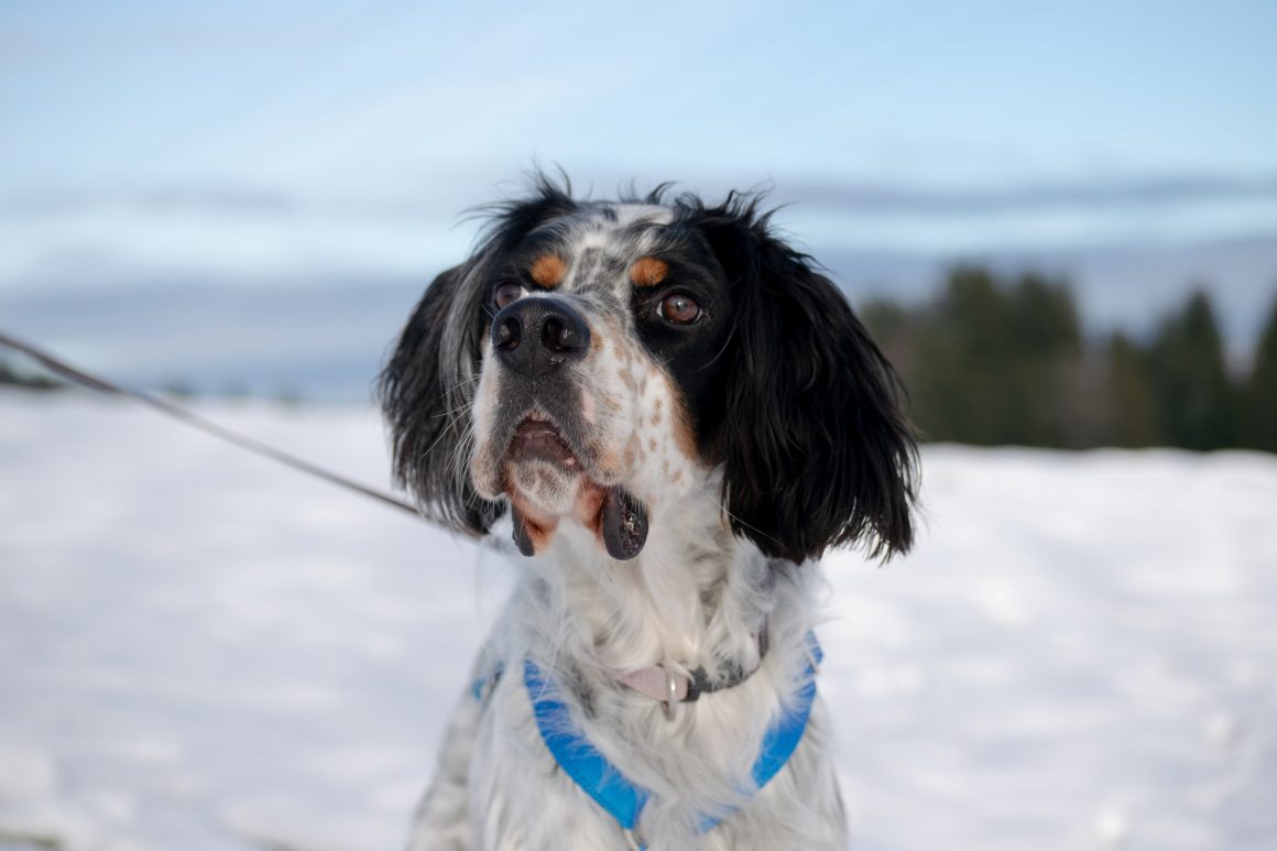 IMG-20251130-WA0011 Harry