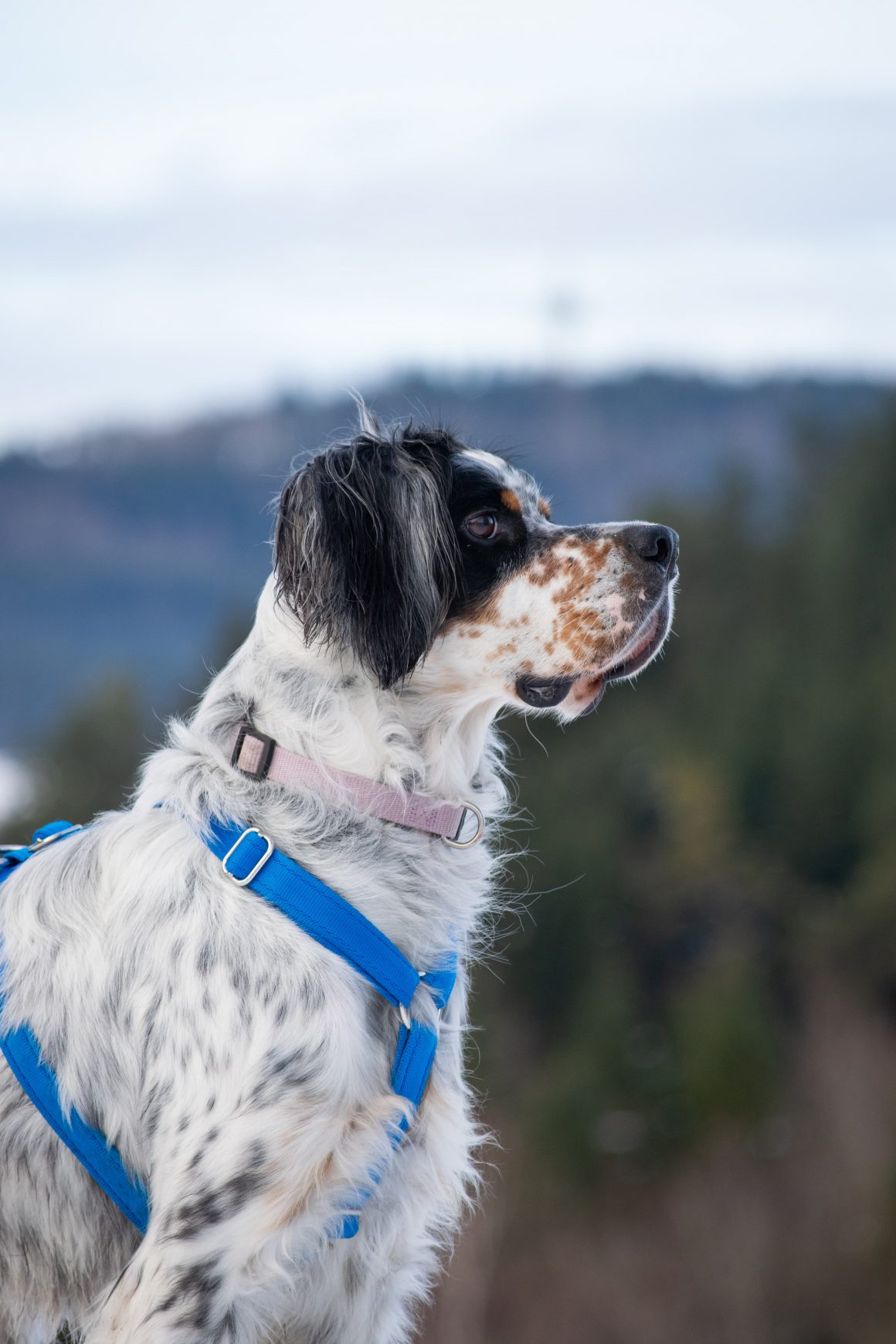 IMG-20251130-WA0014 Harry