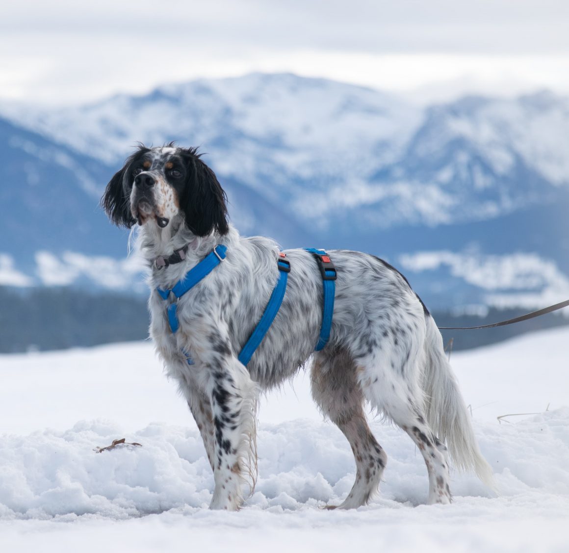 IMG-20251130-WA0030 Harry