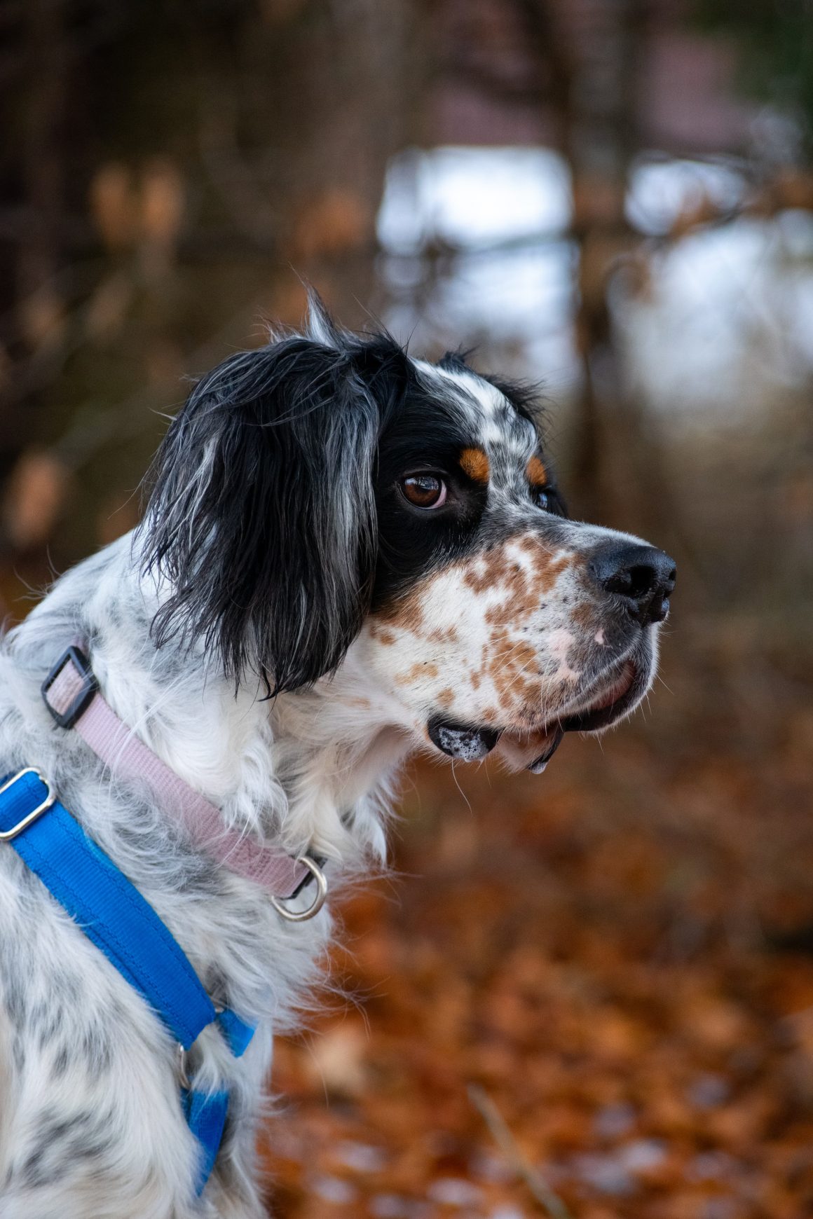 IMG-20251130-WA0034 Harry