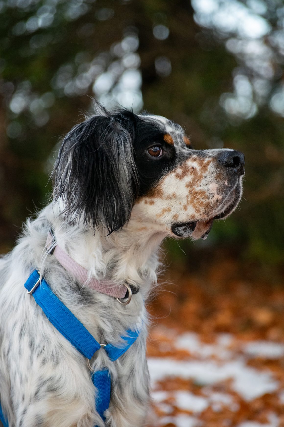 IMG-20251130-WA0040 Harry