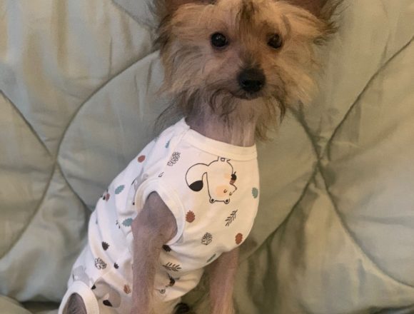 Willi – reserviert